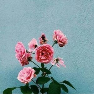 Meet your Posher, Katelynn